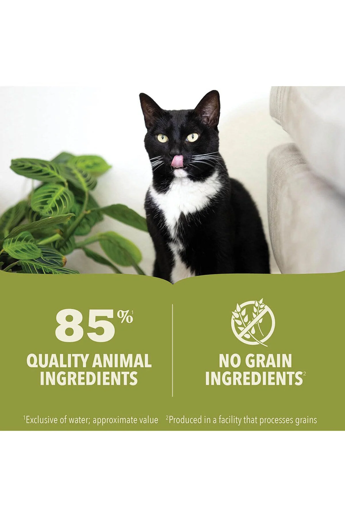 Acana Premium Pate Chicken and Tuna Wet Kitten Food - Image 4