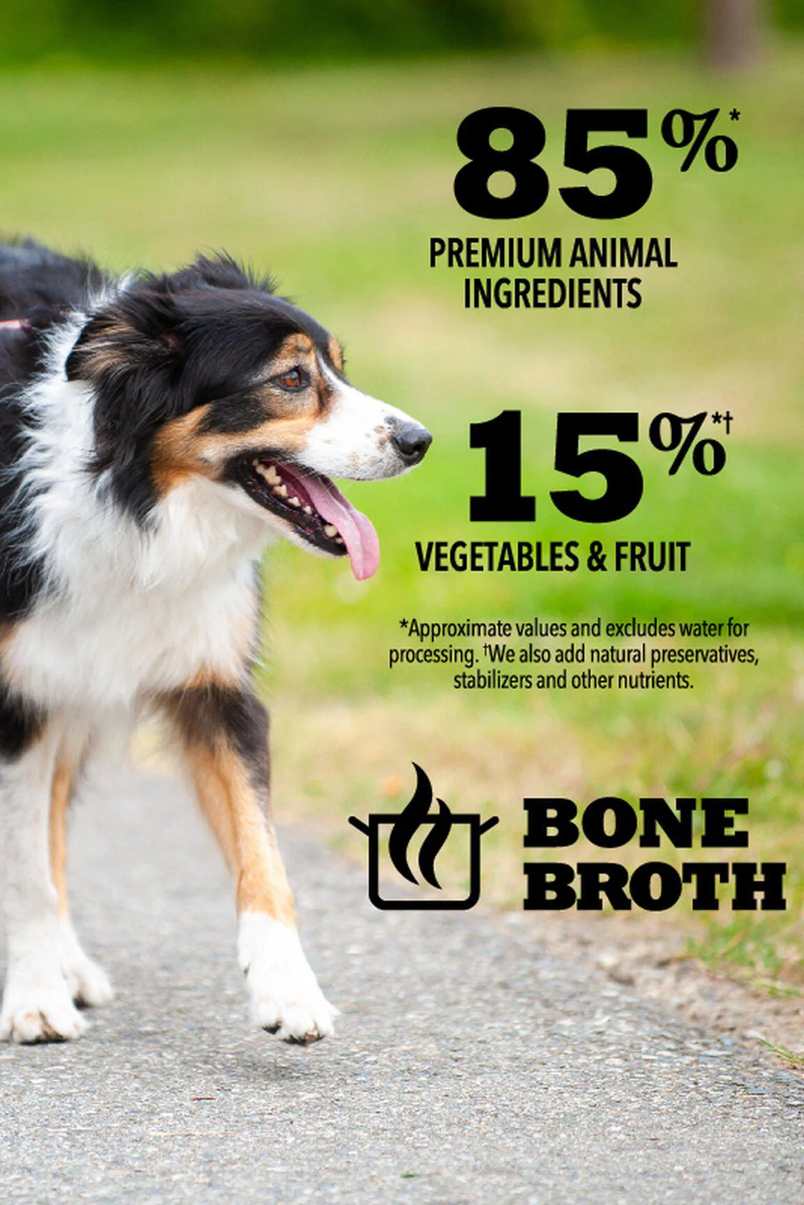 Acana Premium Chunks Duck in Bone Broth Wet Dog Food - Image 5