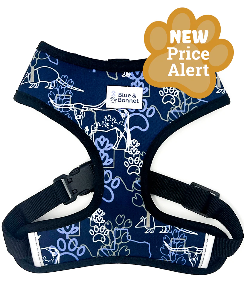 Blue and Bonnet Dog Harness