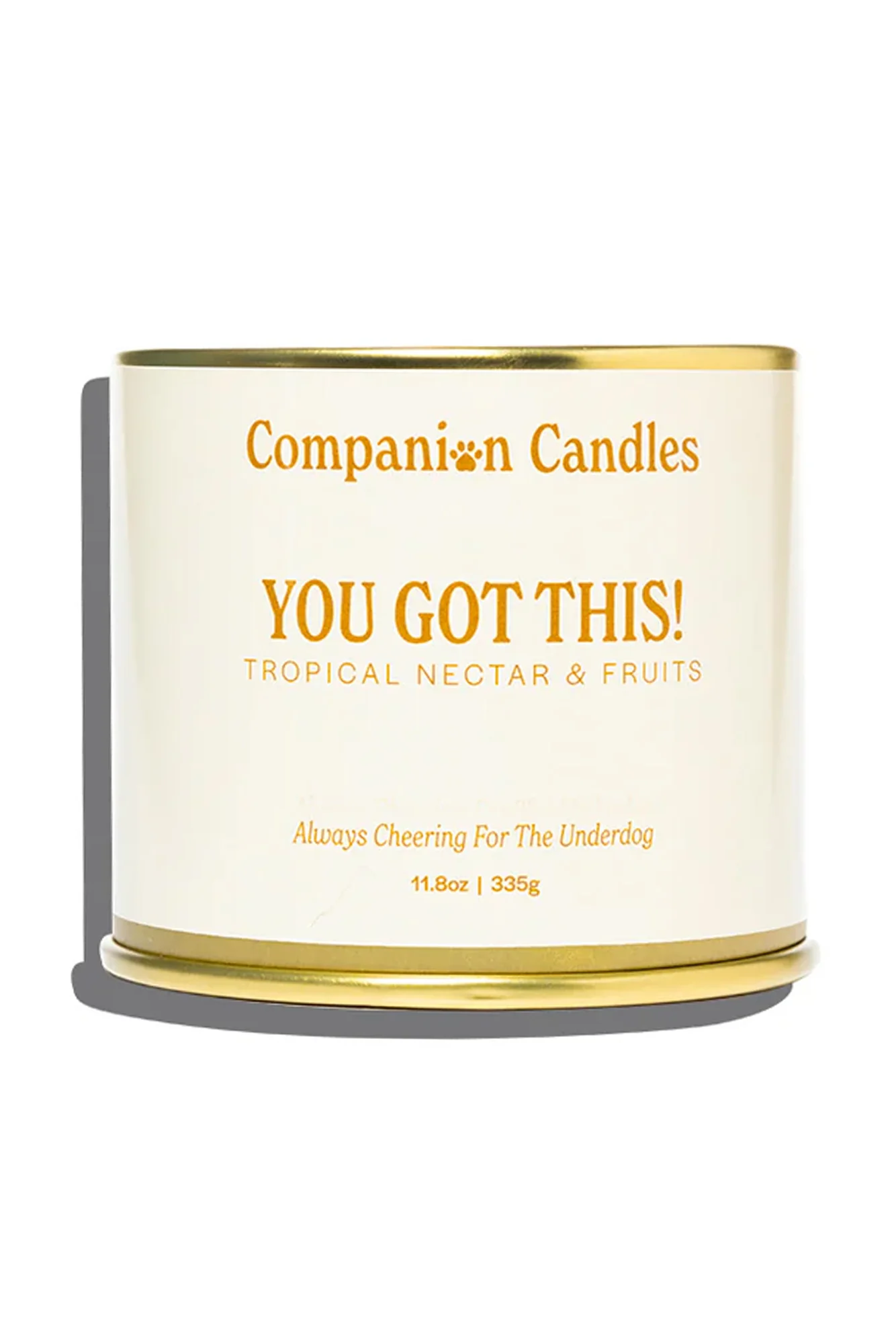 Companion You Got This Citrus and Tropical Fruit Candle