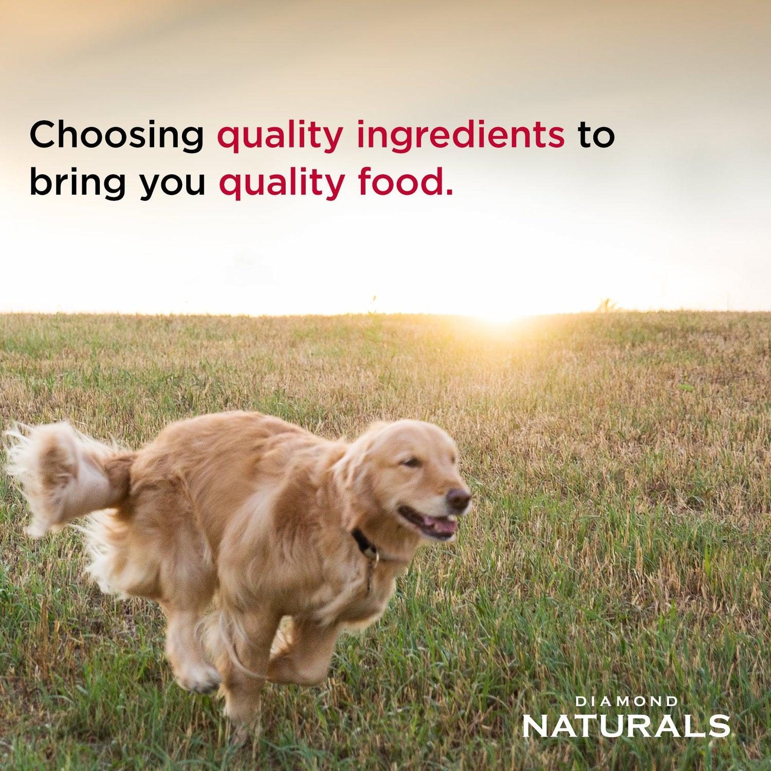 Diamond Naturals Chicken and Rice Dry Dog Food - Image 5