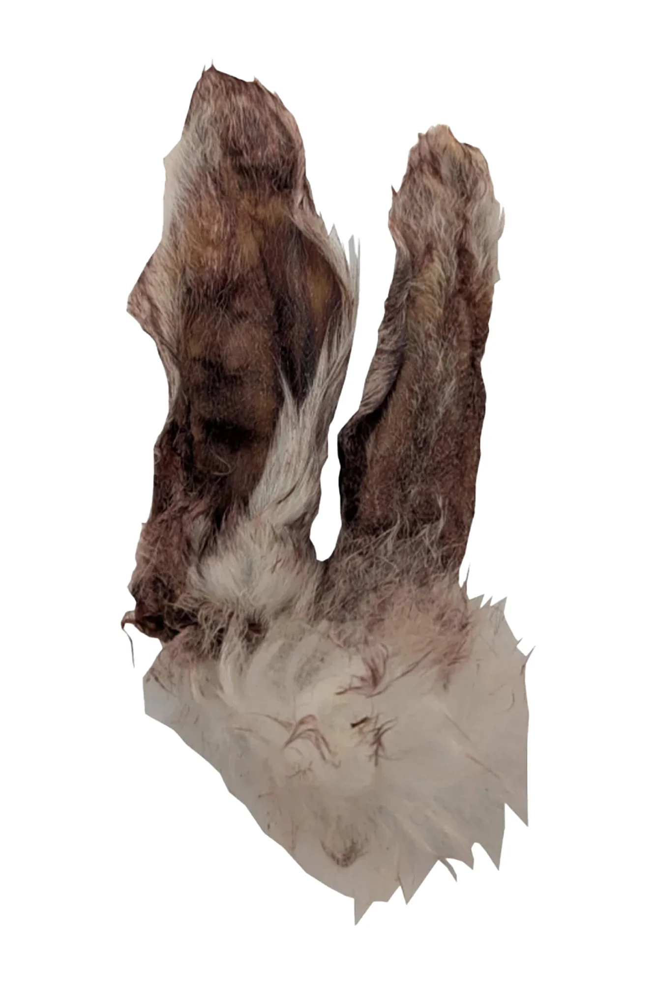 Furever Fierce Rabbit Ears Freeze-Dried Dog Treats - Image 3