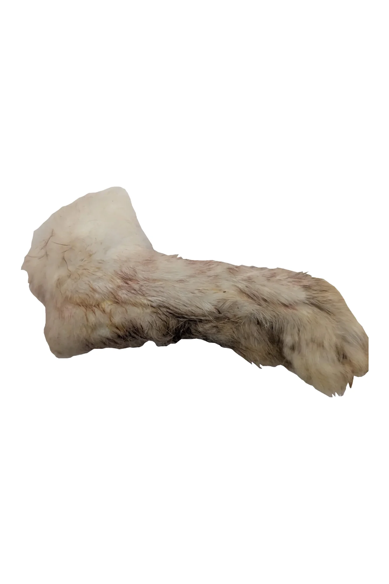 Furever Fierce Rabbit Feet Freeze-Dried Dog Treats - Image 3