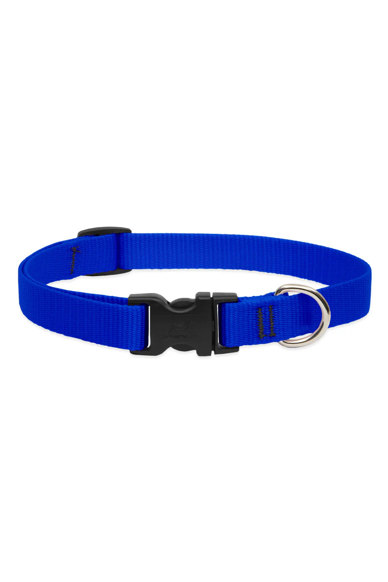 LupinePet Basic Solids Blue Dog Collar