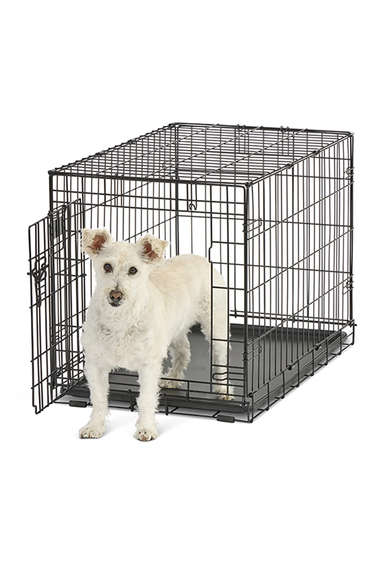 MidWest Contour Single Door Dog Crate - Image 2