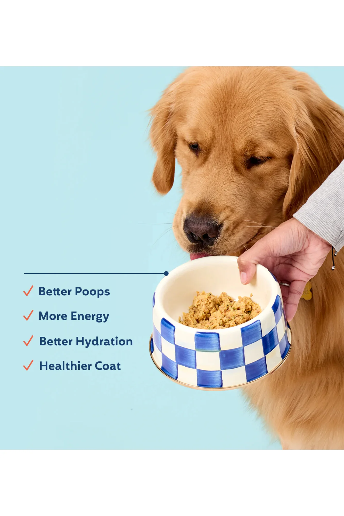 My Perfect Pet Snuggles Chicken and Rice Gently Cooked Dog Food - Image 5