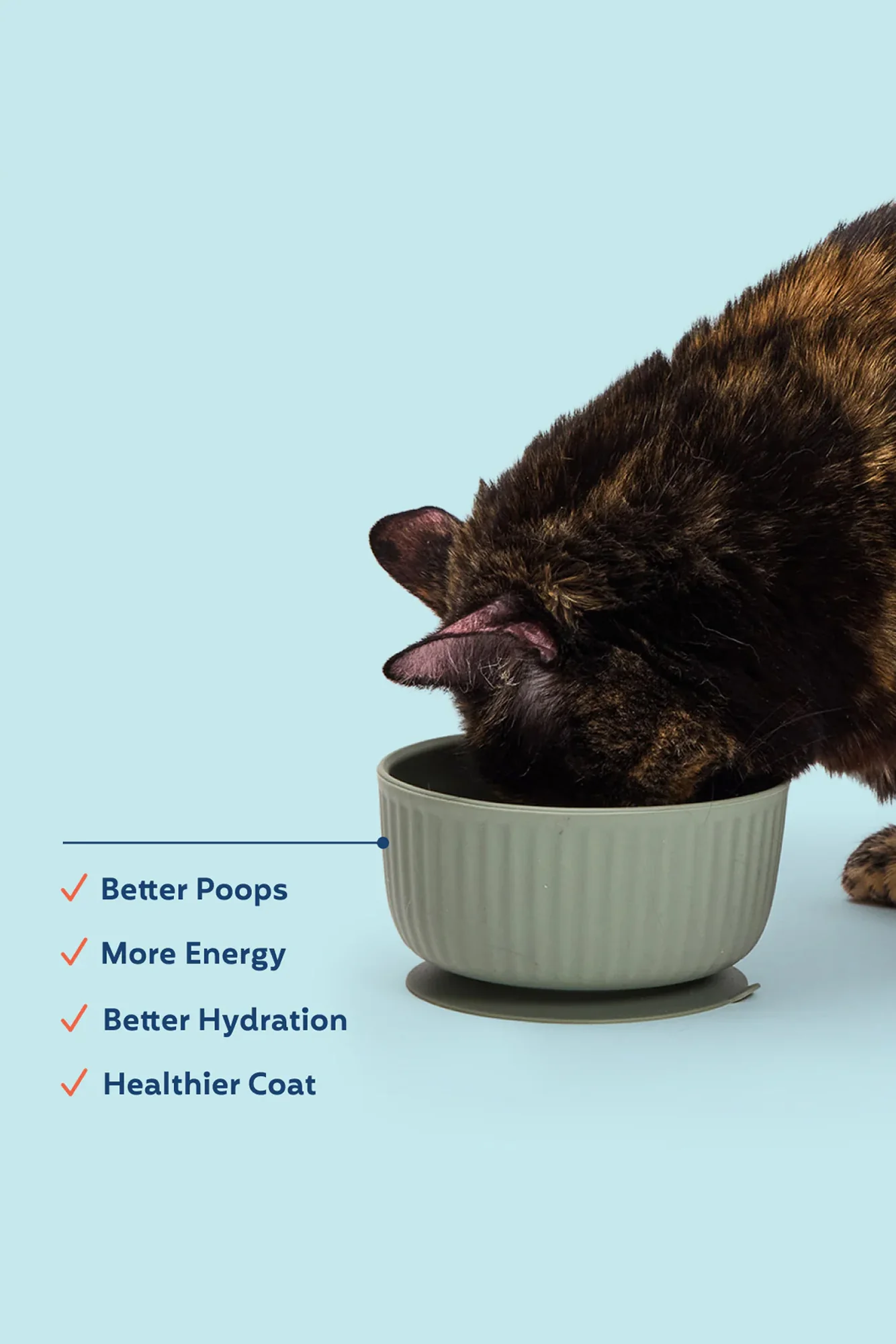 My Perfect Pet Low Phosphorus Chicken Gently Cooked Cat Food - Image 4