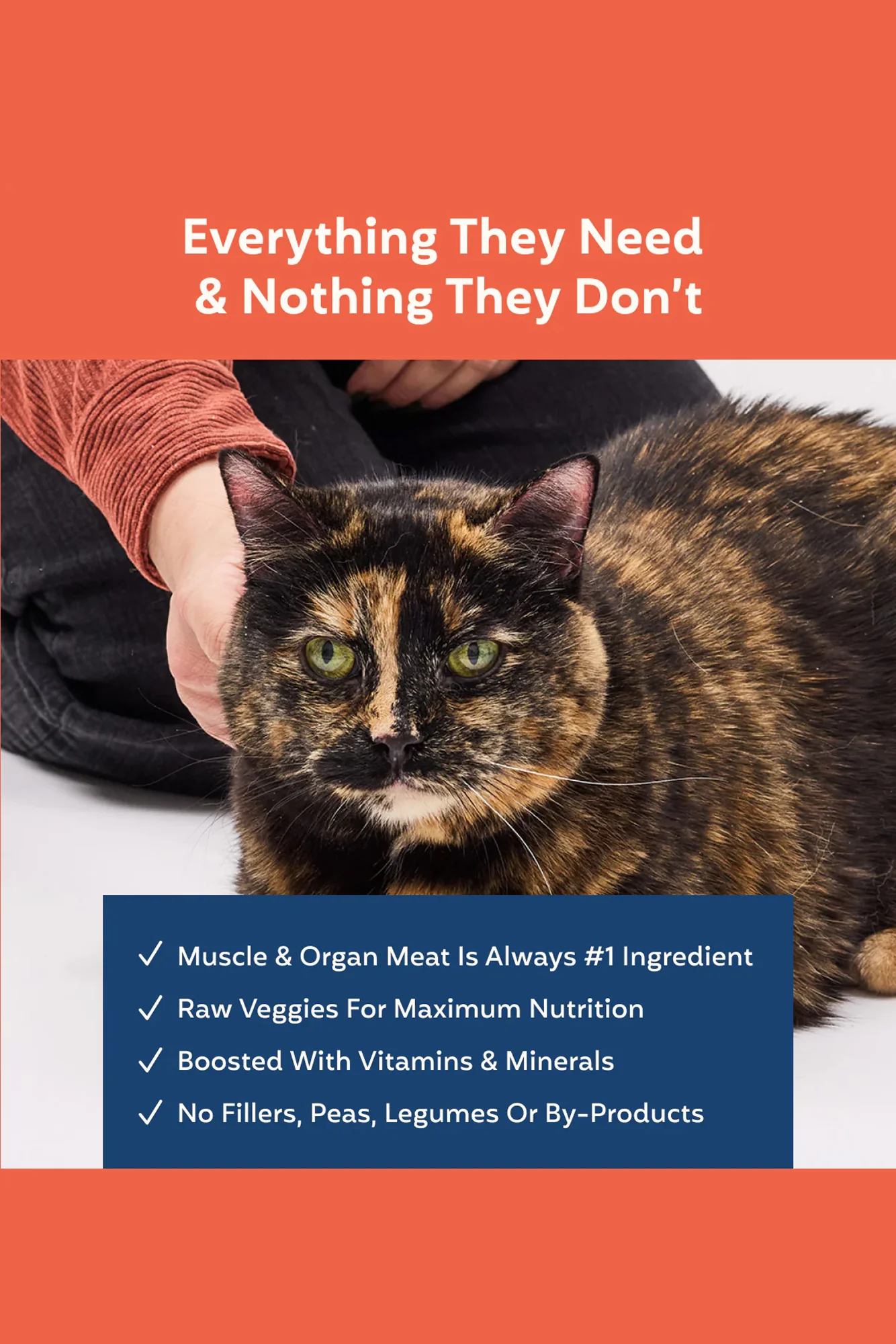 My Perfect Pet Low Phosphorus Chicken Gently Cooked Cat Food - Image 5