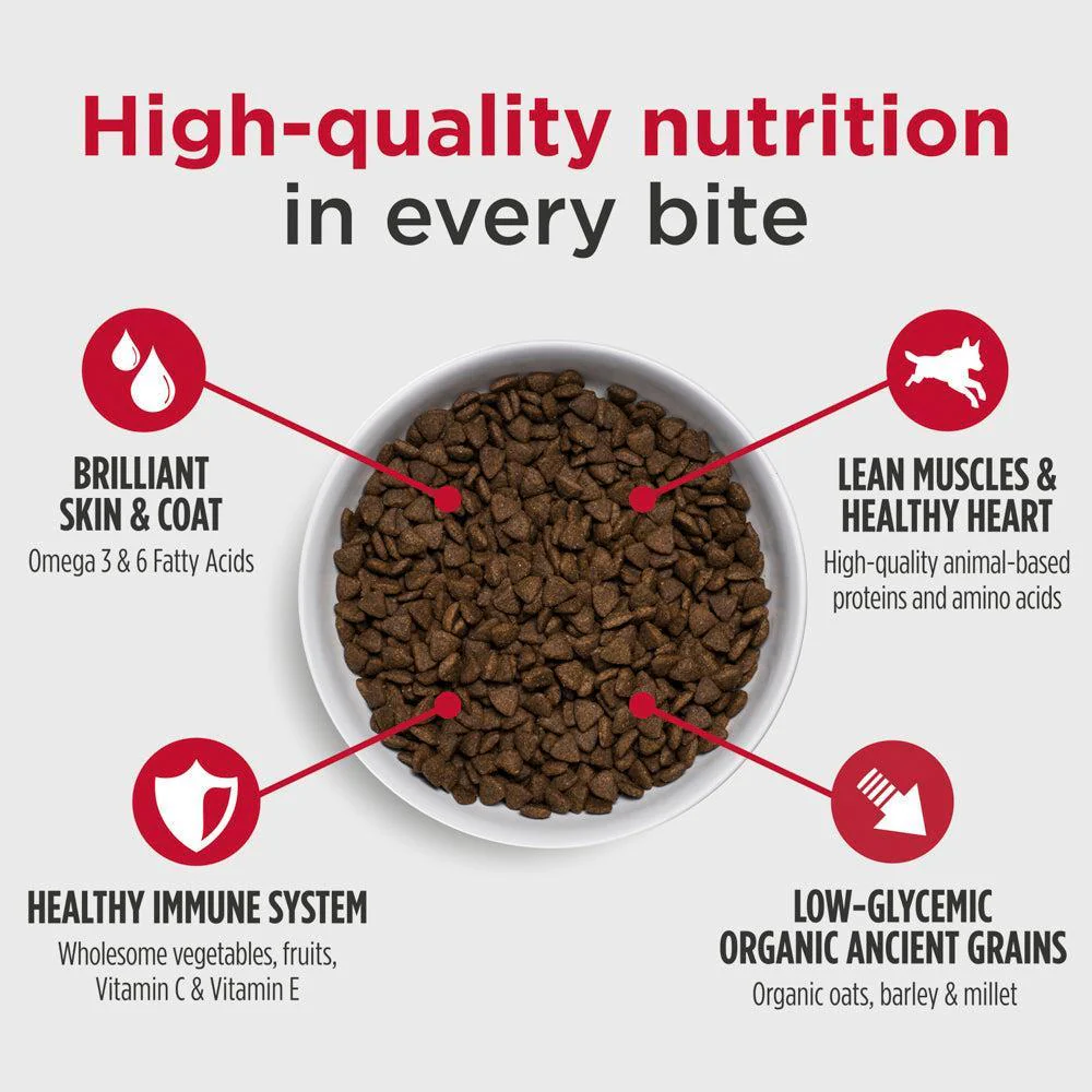 Nulo Challenger Game Bird Quarry Puppy and Adult Dry Dog Food - Image 4