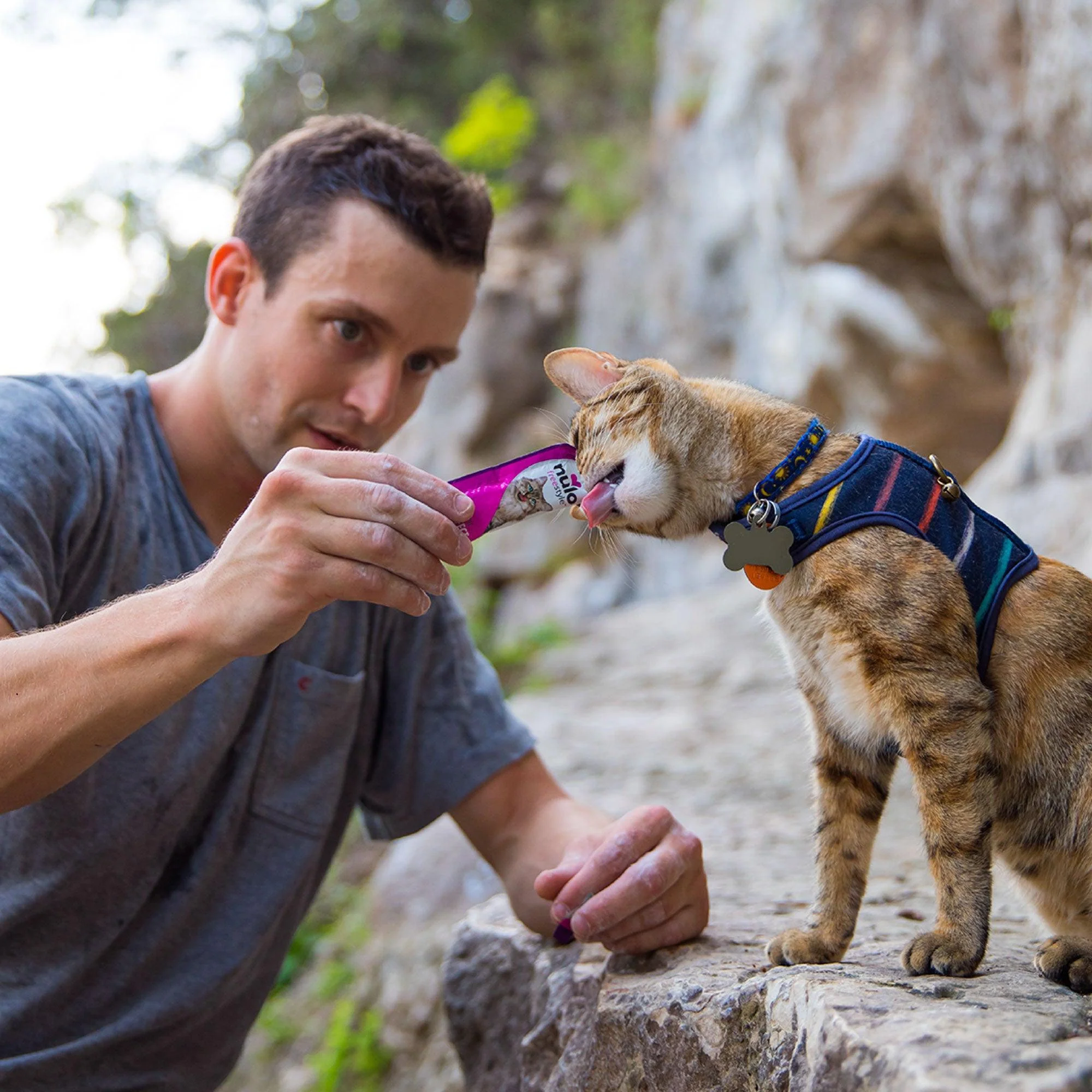 Nulo Freestyle Perfect Purees Chicken Cat Treats - Image 3
