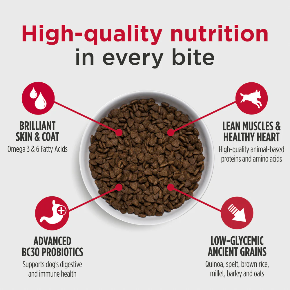 Nulo Frontrunner Pork, Barley, and Beef Dry Dog Food - Image 4