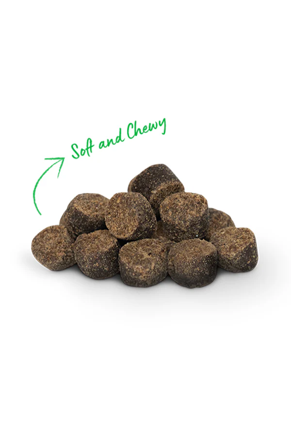 Open Farm Turkey Be Good Bites Soft and Chewy Dog Treats - Image 2