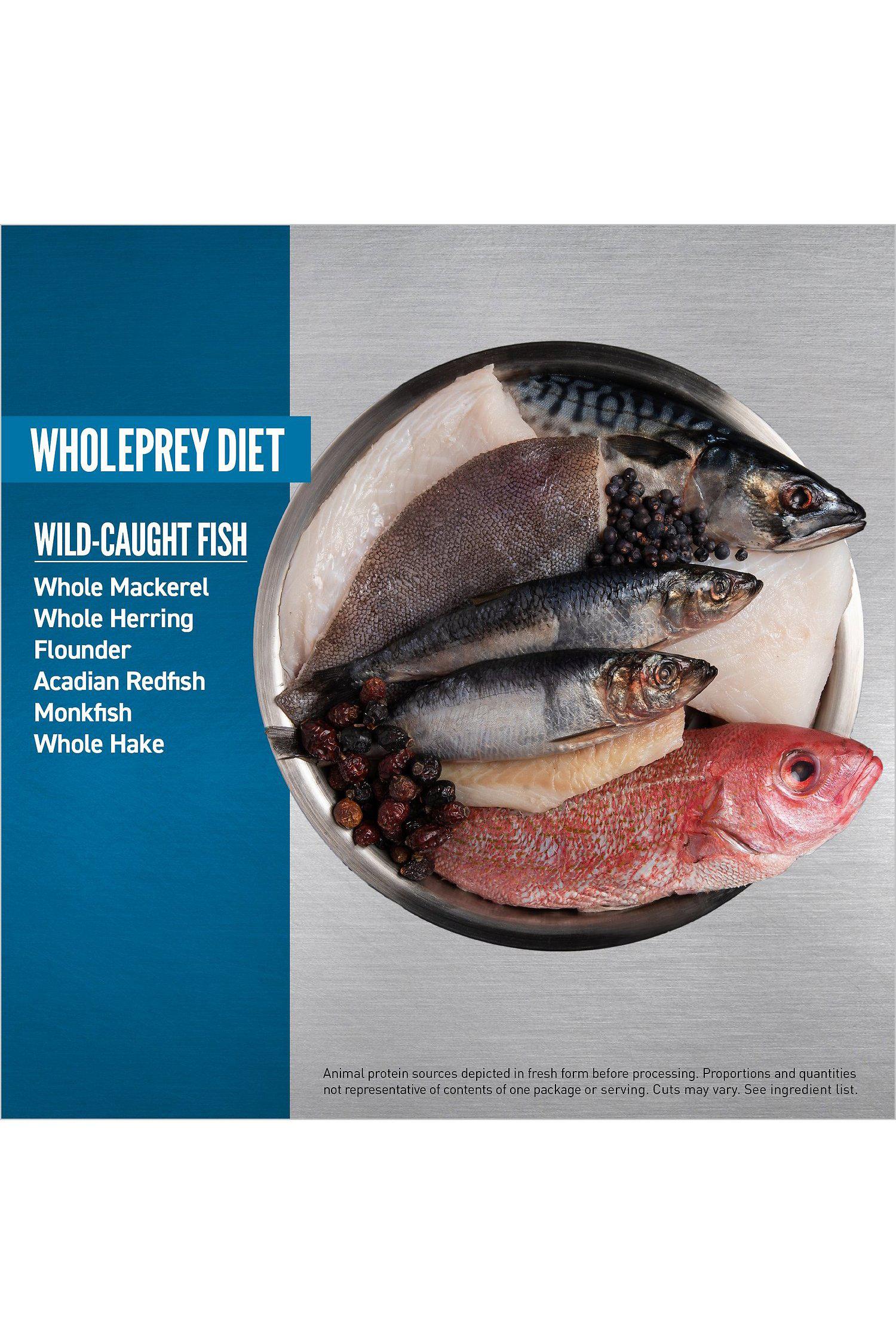 Orijen Six Fish Dry Cat Food - Image 7