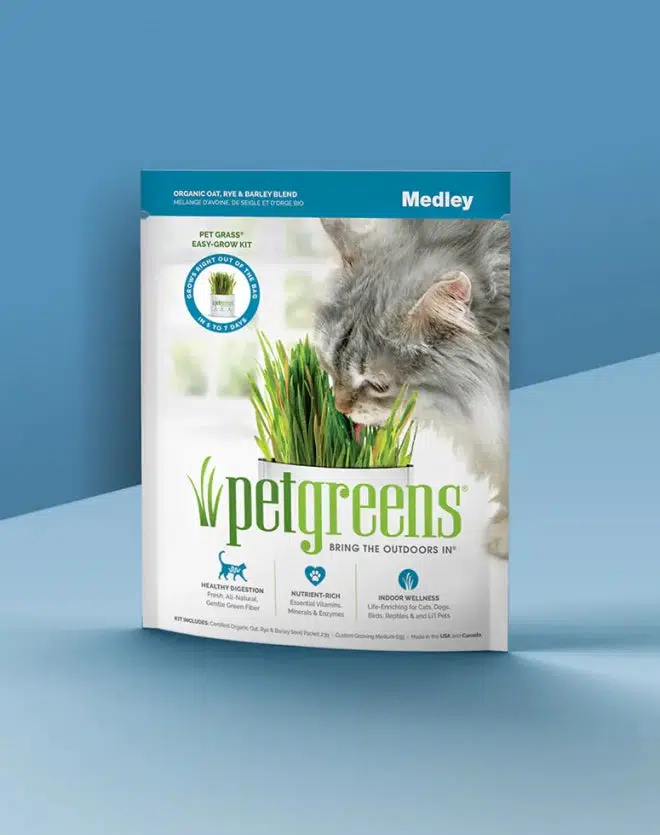 Pet Greens Oat, Rye and Barley Blend Self Grow Kit