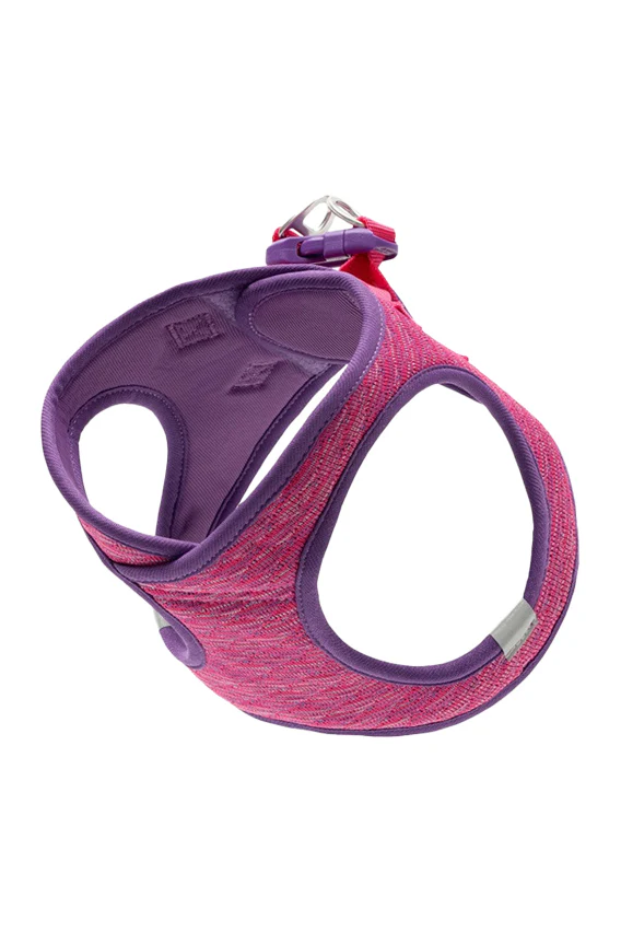 RC Pets Evolution Azalea Step-In Dog Harness