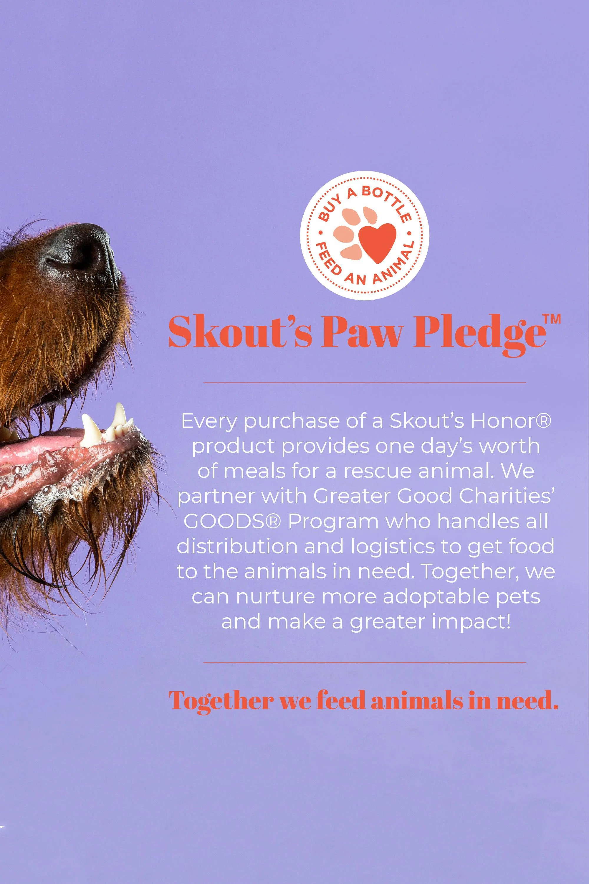 Skout's Honor Probiotic Itch Relief Shampoo - Image 8