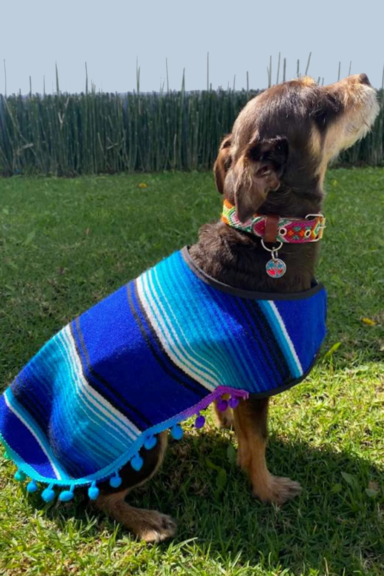 Tulum Handmade Blue Dog Poncho