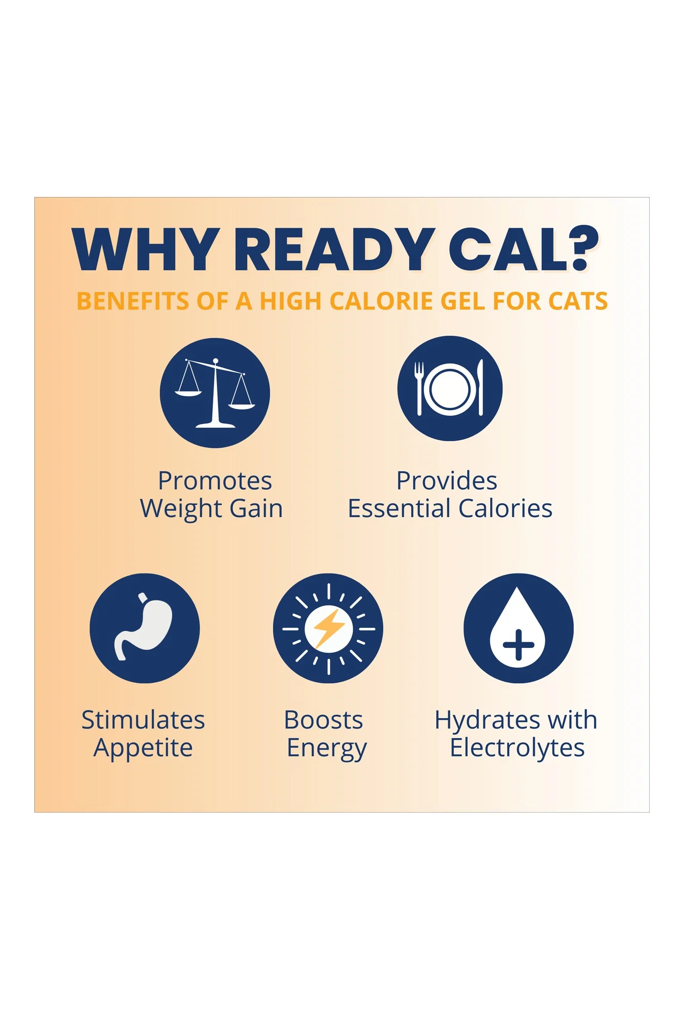Under the Weather Ready Cal Plus + Electrolytes Squeezable for Cats - Image 3