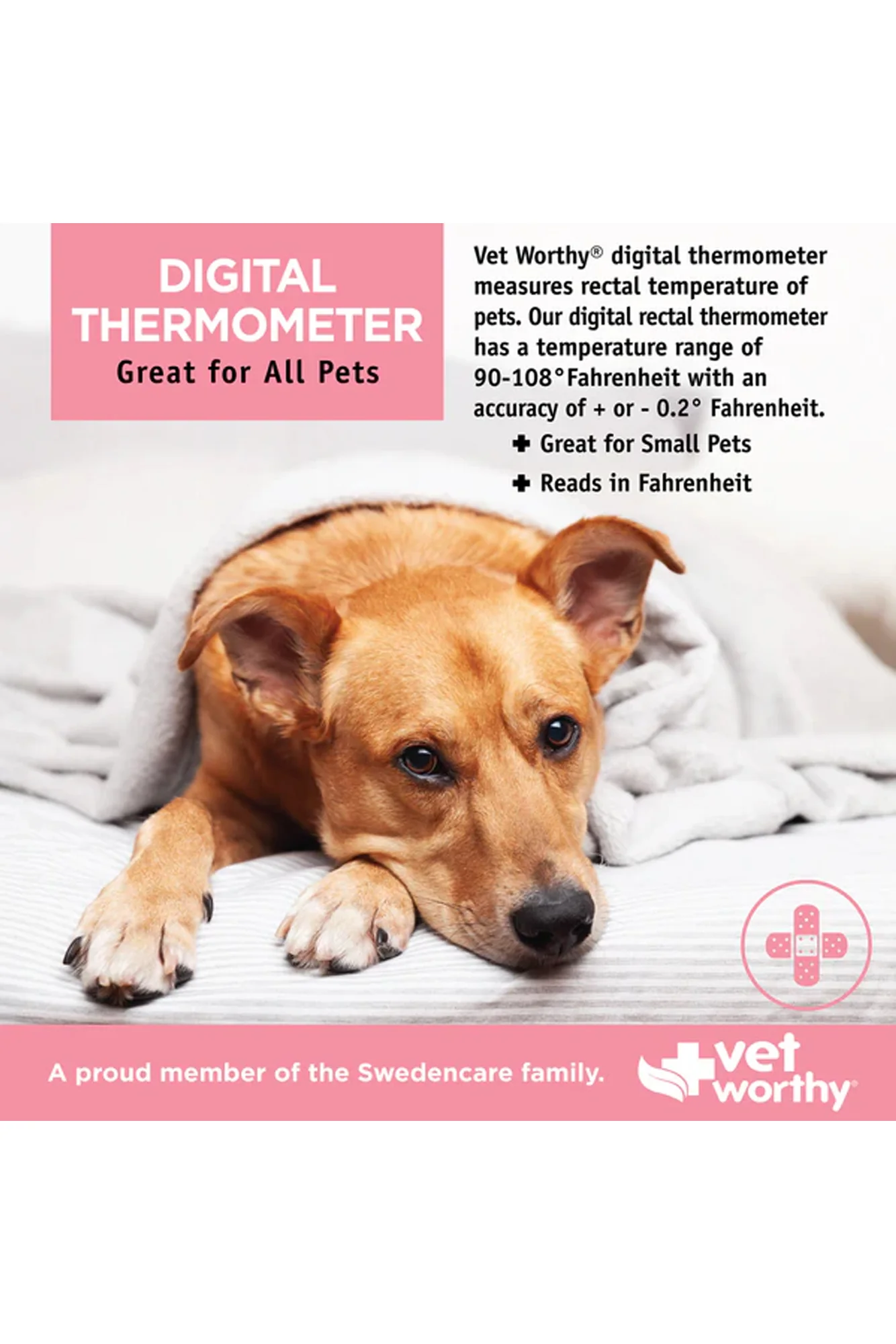 Vet Worthy Pet Digital Thermometer - Image 2