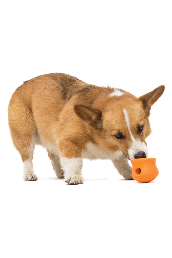 West Paw Zogoflex Toppl Tangerine Dog Toy - Image 3