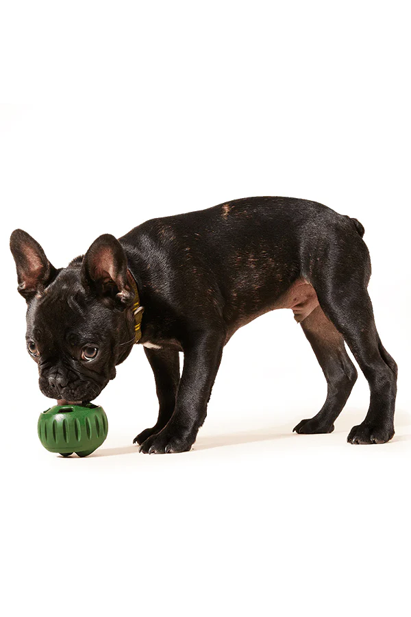 Woof Pupsicle Beef and Peanut Butter Refill Pops - Image 3