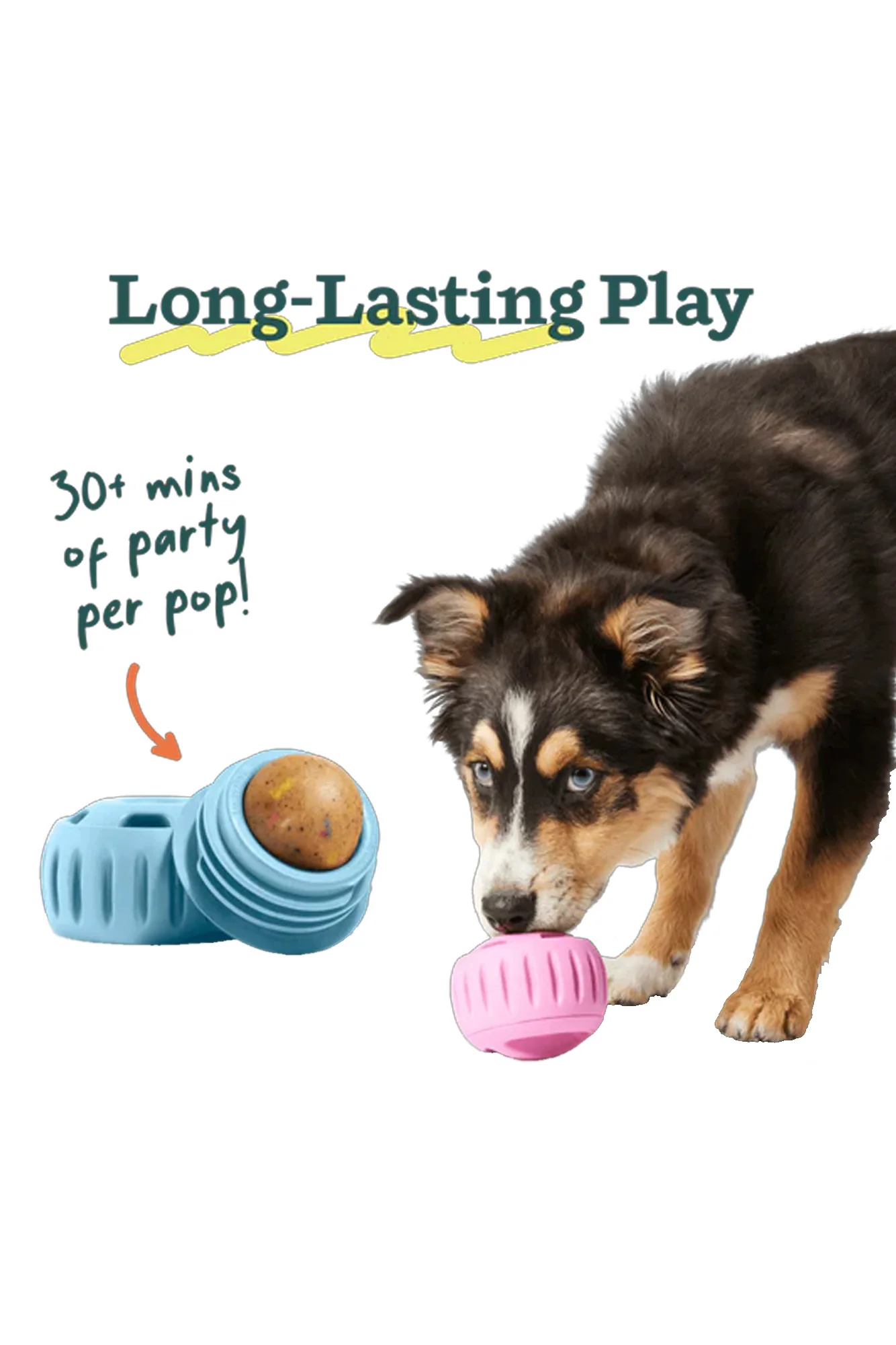 Woof Pupsicle Birthday Refill Pops - Image 3