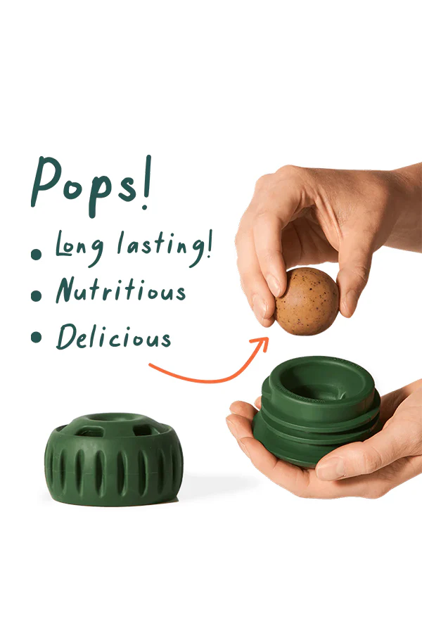 Woof Pupsicle Chicken and Peanut Butter Refill Pops Dog Toy - Image 2