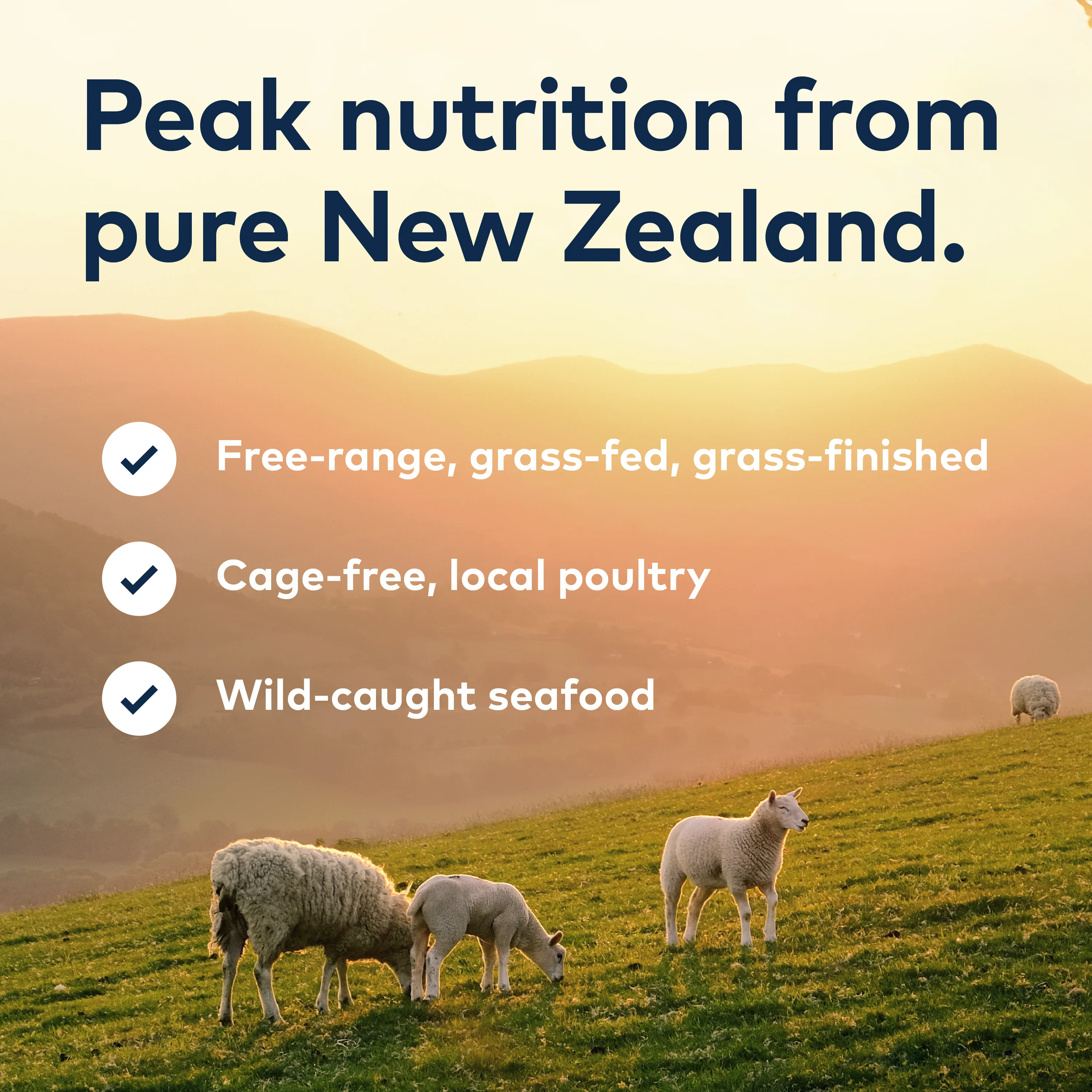 ZIWI Beef Air Dried Dog Food - Image 10